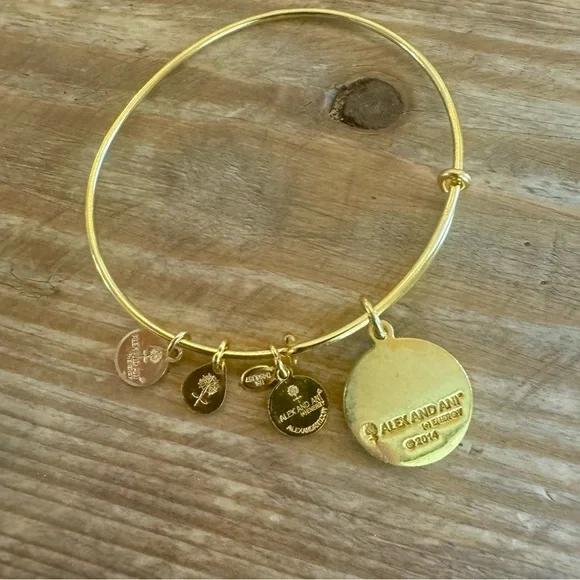 Alex and Ani Endless Knot Energy Bracelet - Picture 3 of 3